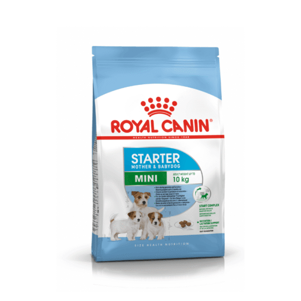 ROYAL CANIN SHN MINI STARTER MOTHER & BABYDOG