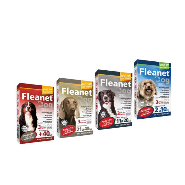 FLEANET DOG